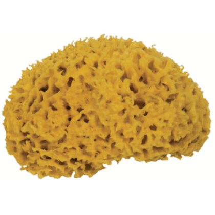 FRINA     Naturschwamm