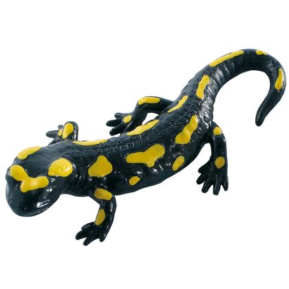 Feuersalamander