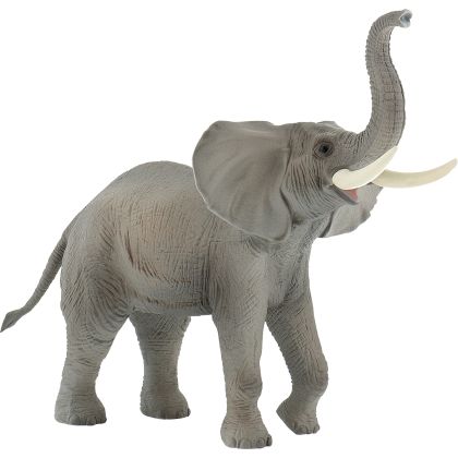 Afrikanischer Elefant