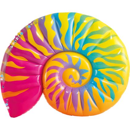 Floater Muschel Regenbogen