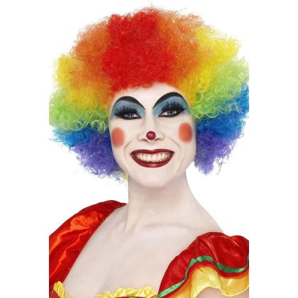 Perücke Clown Regenbogen