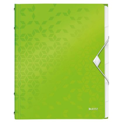 LEITZ     Ordnungsmappe WOW PP        A4