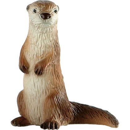 Fischotter