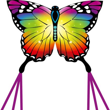 Drachen Ecoline BF Kite Rainbow