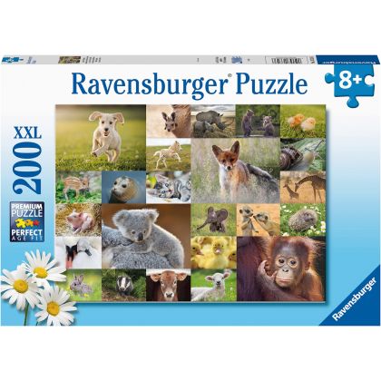 Puzzle Süsse Tierbabys