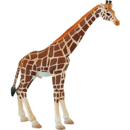 Giraffenbulle