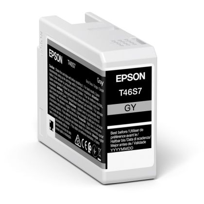 EPSON     Tintenpatrone             gray