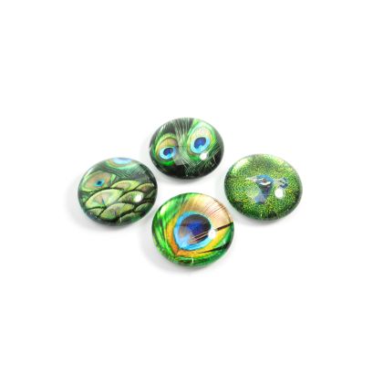 TRENDFORM EYE Magnete PEACOCK