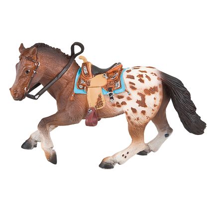 Appaloosa Hengst