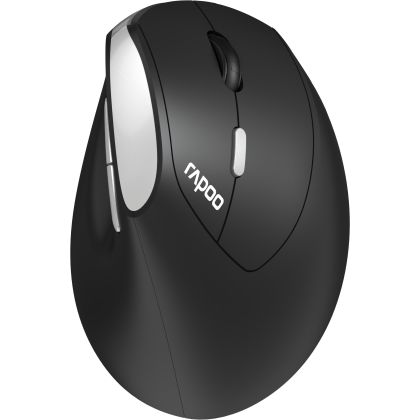 RAPOO     EV250 Vertical Mouse