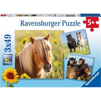 Puzzle Liebe Pferde