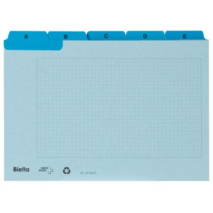 BIELLA    Kartei-Leitkarten           A6