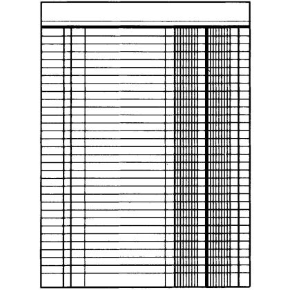SIMPLEX   Geschäftsbuch               A4