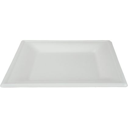 EJS       Teller aus Bagasse     26x26cm