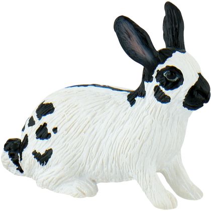 Hase, Riesenschecke