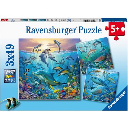 Puzzle Tierwelt des Ozeans