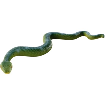 Boa