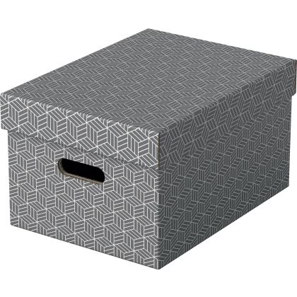 ESSELTE   Aufbewahrungsboxen Home M