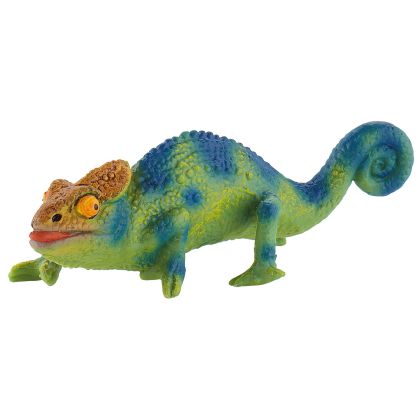 Chamäleon