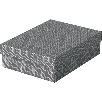 ESSELTE   Aufbewahrungsboxen Home M