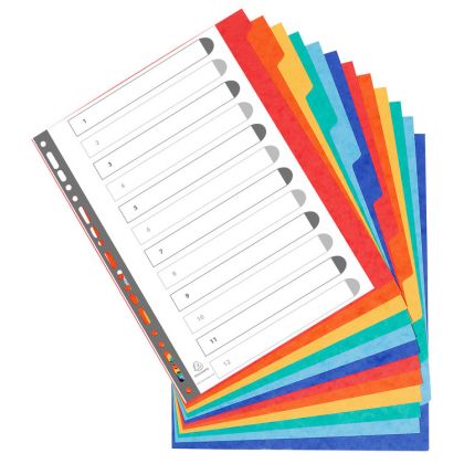 EXACOMPTA Register Karton             A4