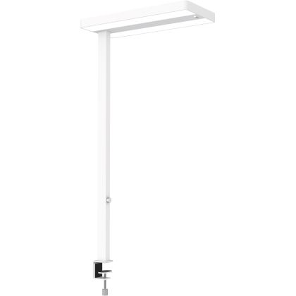 MAUL      LED-Tischleuchte MAULjuvis
