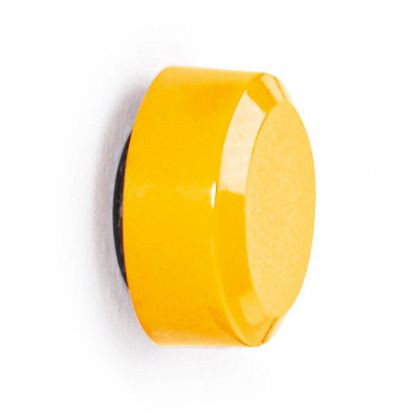 MAUL      Magnet MAULpro            15mm