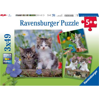 Puzzle Süsse Samtpfötchen