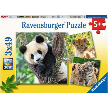 Puzzle Panda, Tiger und Löwe