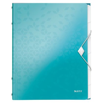 LEITZ     Ordnungsmappe WOW PP        A4