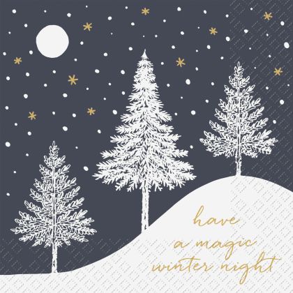 STEWO     Serviette Hiver        33x33cm