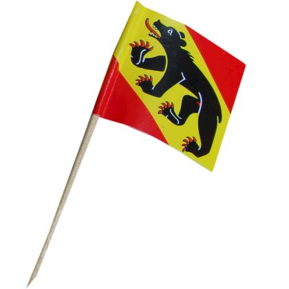 Zahnstocherfahnen BE